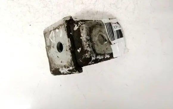Renault Megane III Rear door lower hinge