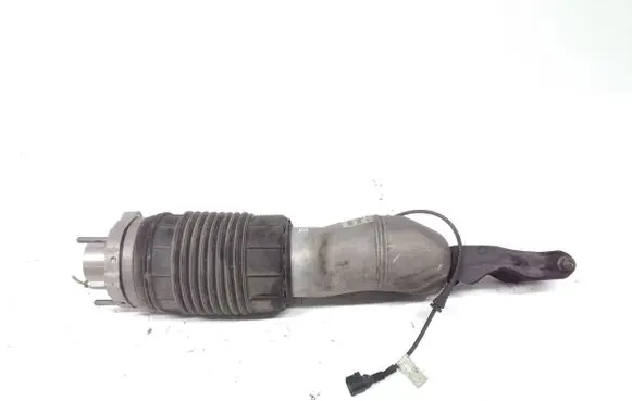 Porsche Panamera (971) Air suspension front shock absorber 971616038F