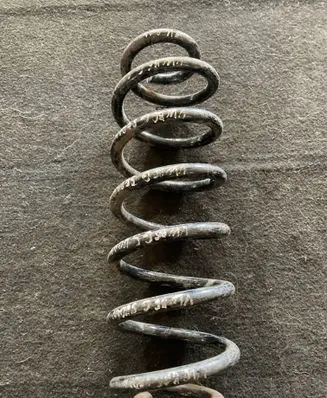 Volkswagen PASSAT B6 Rear coil spring