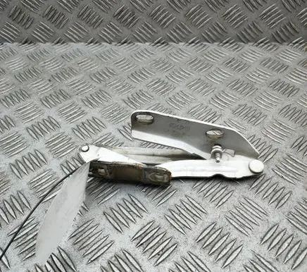Volkswagen Crafter Engine bonnet/hood hinges 9067500121