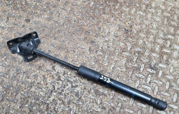 Mini One - Cooper F56 F55 Front bonnet/hood damper/strut 7300567