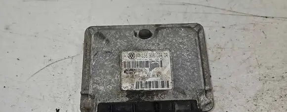 Volkswagen Golf IV Engine control unit/module 036906034DR 30V014M7C 61600E8608