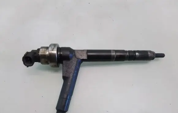 Opel Combo C Fuel injector 8973138612