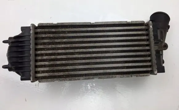 Peugeot 307 Intercooler radiator VALEO9646694680