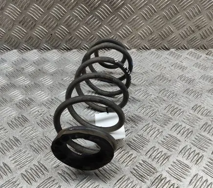 Rear coil spring