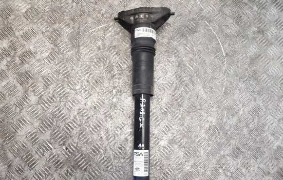 Peugeot 208 Rear shock absorber/damper 98311874800 9824423480
