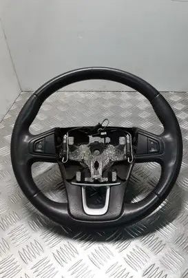 Renault Latitude (L70) Steering wheel 484300001R