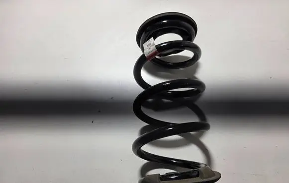 Tesla Model 3 Rear coil spring 104447201E CZH212940003840