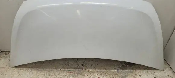 Engine bonnet/hood