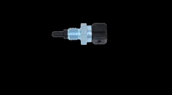 Iveco Daily 6th gen Intake air temperature sensor 504366815