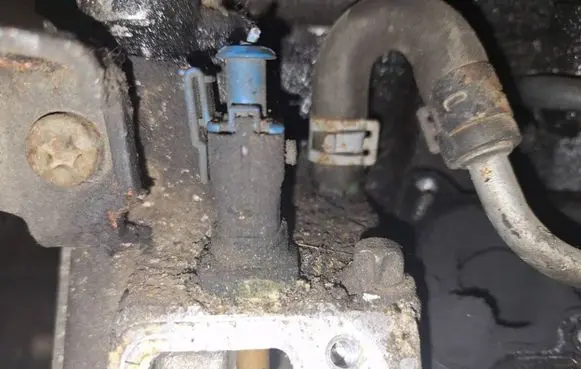 Coolant temperature sensor