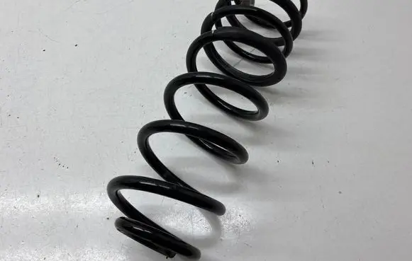 Rear coil spring