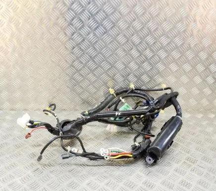 Honda Odyssey Other wiring loom 32120THRA004