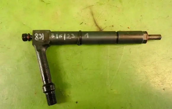 Nissan Almera Tino Fuel injector 48-4391