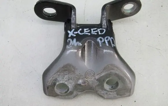 KIA Xceed Front door lower hinge 21R