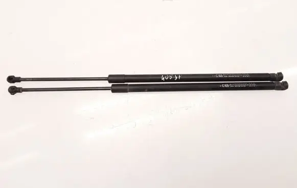 Opel Antara Tailgate/trunk strut/damper 96661638