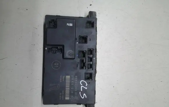 Mercedes-Benz CLS C219 Door control unit/module 2198201226 00005030