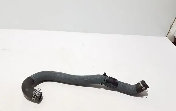 Renault Austral Engine coolant pipe/hose 215038825R