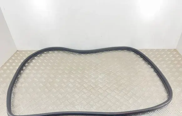 Fiat 500 Front door rubber seal 72324
