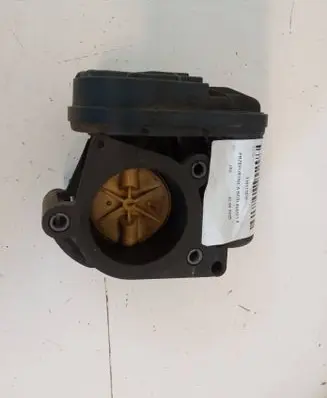 Citroen Berlingo Throttle valve 310173016