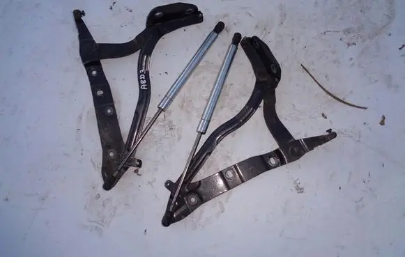 Audi A8 S8 D3 4E Engine bonnet/hood hinges