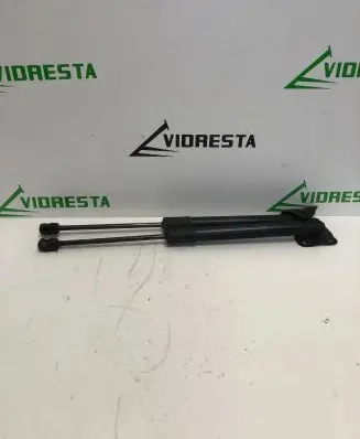 Opel Crossland X Tailgate/trunk strut/damper 39117353 9581810615N