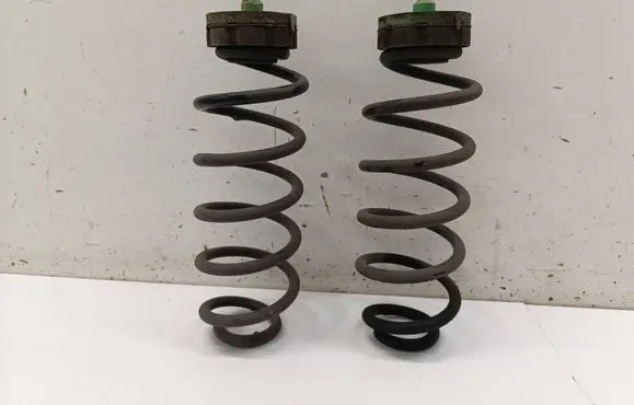 Rear coil spring