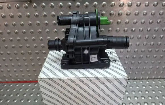Thermostat/thermostat housing