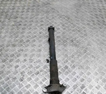 Jaguar I-Pace Rear shock absorber/damper GX6318A145XX J9D318W002AC