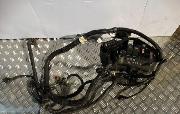Porsche Cayenne (9Y0 9Y3) Wiring harness 