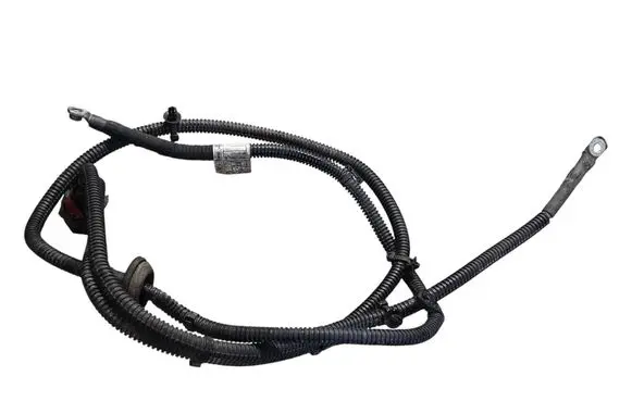 Audi Q5 SQ5 Other wiring loom 8R1971111