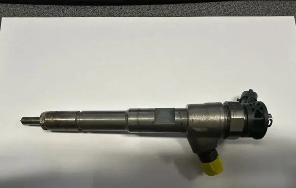 Renault Kangoo II Fuel injector 0445110485 166008399R 8201108033