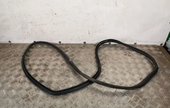 Toyota RAV 4 (XA40) Rear door rubber seal (on body) RAV14KPGGUMA