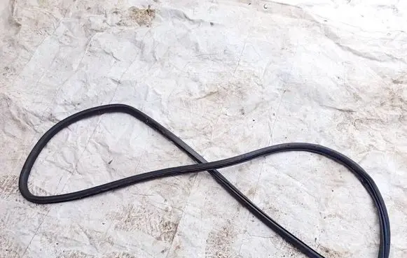 Volkswagen PASSAT B6 Rubber seal front coupe door 
