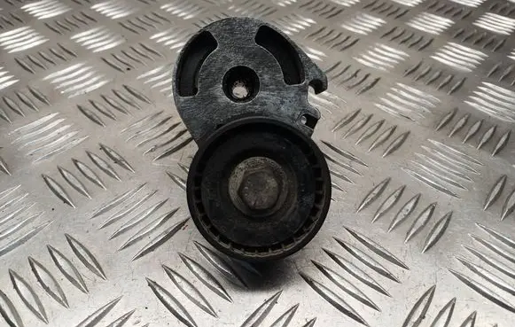 Peugeot 407 Generator/alternator belt tensioner 22627