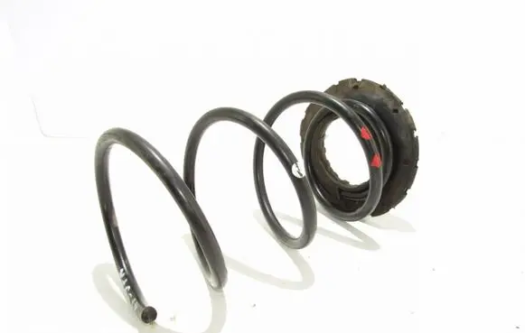 Front coil spring