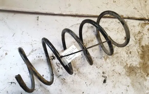 Front coil spring