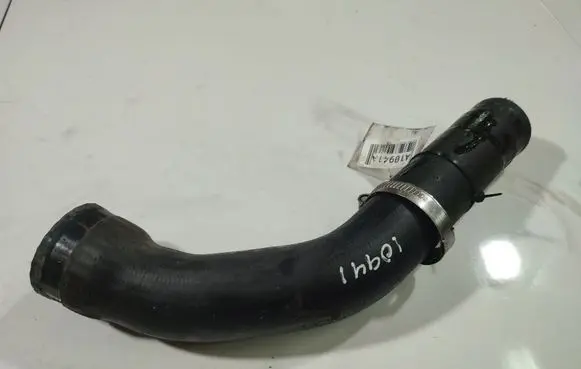 Nissan Almera Tino Engine coolant pipe/hose 