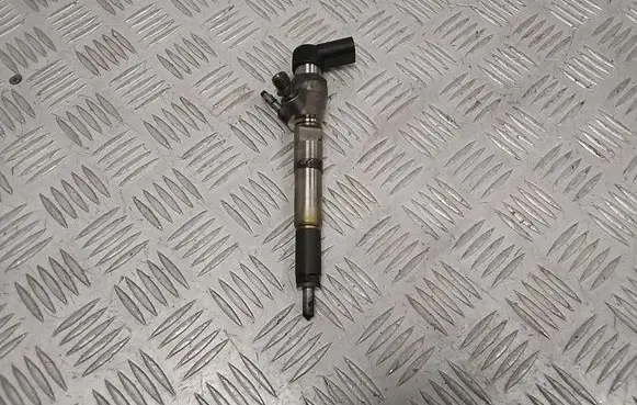 Nissan Qashqai Fuel injector 166006212R