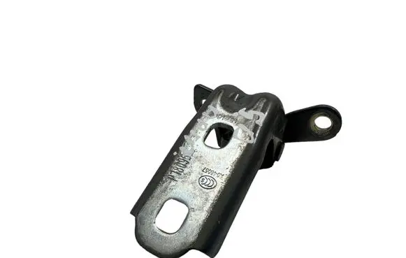 Citroen C3 Aircross Rear door lower hinge A046057 P18096