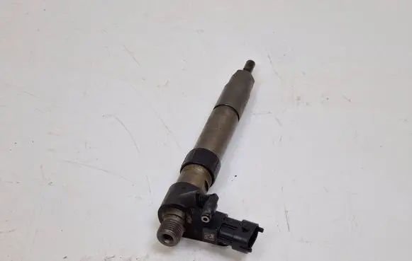 Land Rover Freelander 2 - LR2 Fuel injector 9687454480 F9E03DE030