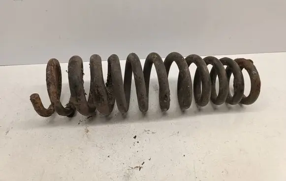Rear coil spring