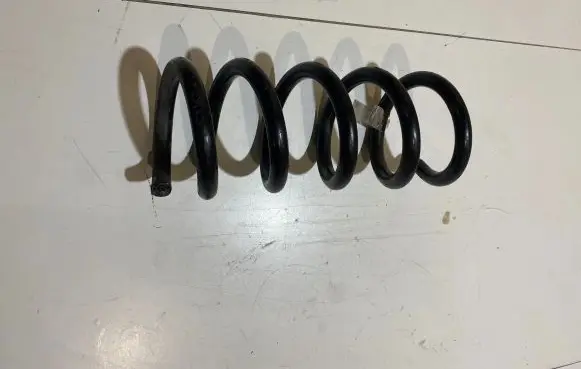Ford Mustang VI Rear coil spring JR3C5560HA