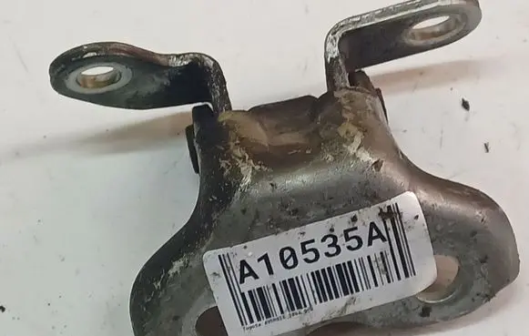 Rear door lower hinge