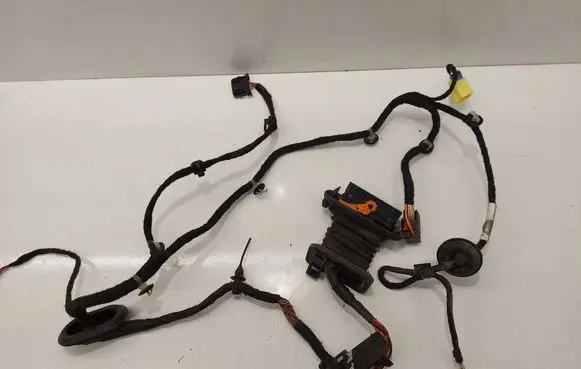 Volkswagen PASSAT B6 Front door wiring loom 3C1971120CK TAB016297CR