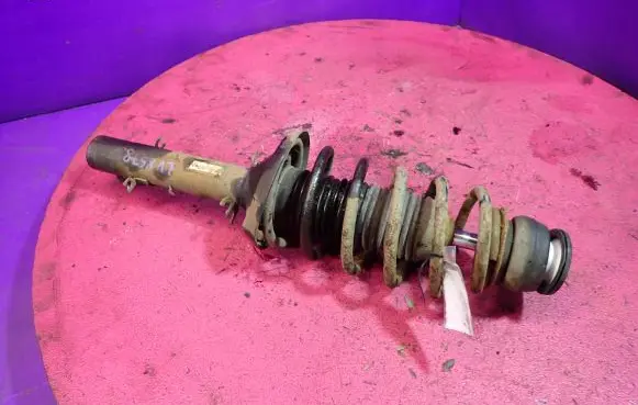 Front shock absorber with coil spring