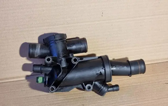 Thermostat/thermostat housing
