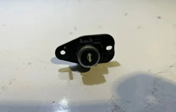 Dodge Challenger Tailgate opening switch 68141864AA 10094024