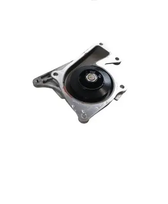Renault Kadjar Water pump 210106113R