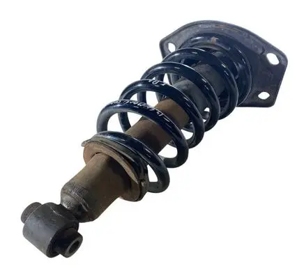 Chevrolet Camaro Rear shock absorber with coil spring 20953581